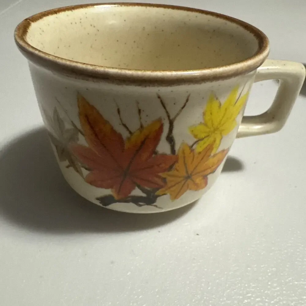 Mikasa vtg vintage